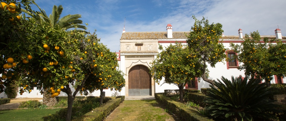 Hacienda de Marchalomar, Bormujos