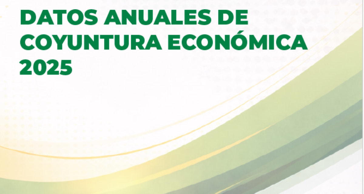 Datos Anuales de Coyuntura Económica. Año 2025