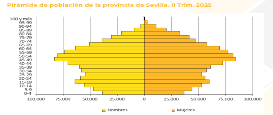 Piramide_Poblacion_II_Trimestre2025