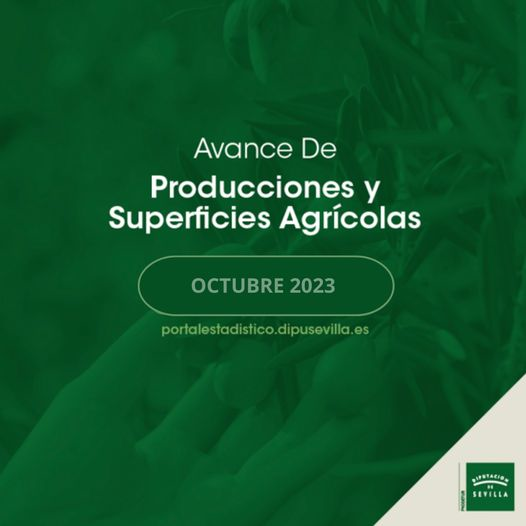 producciones-superficies-agrícolas-Octubre-23