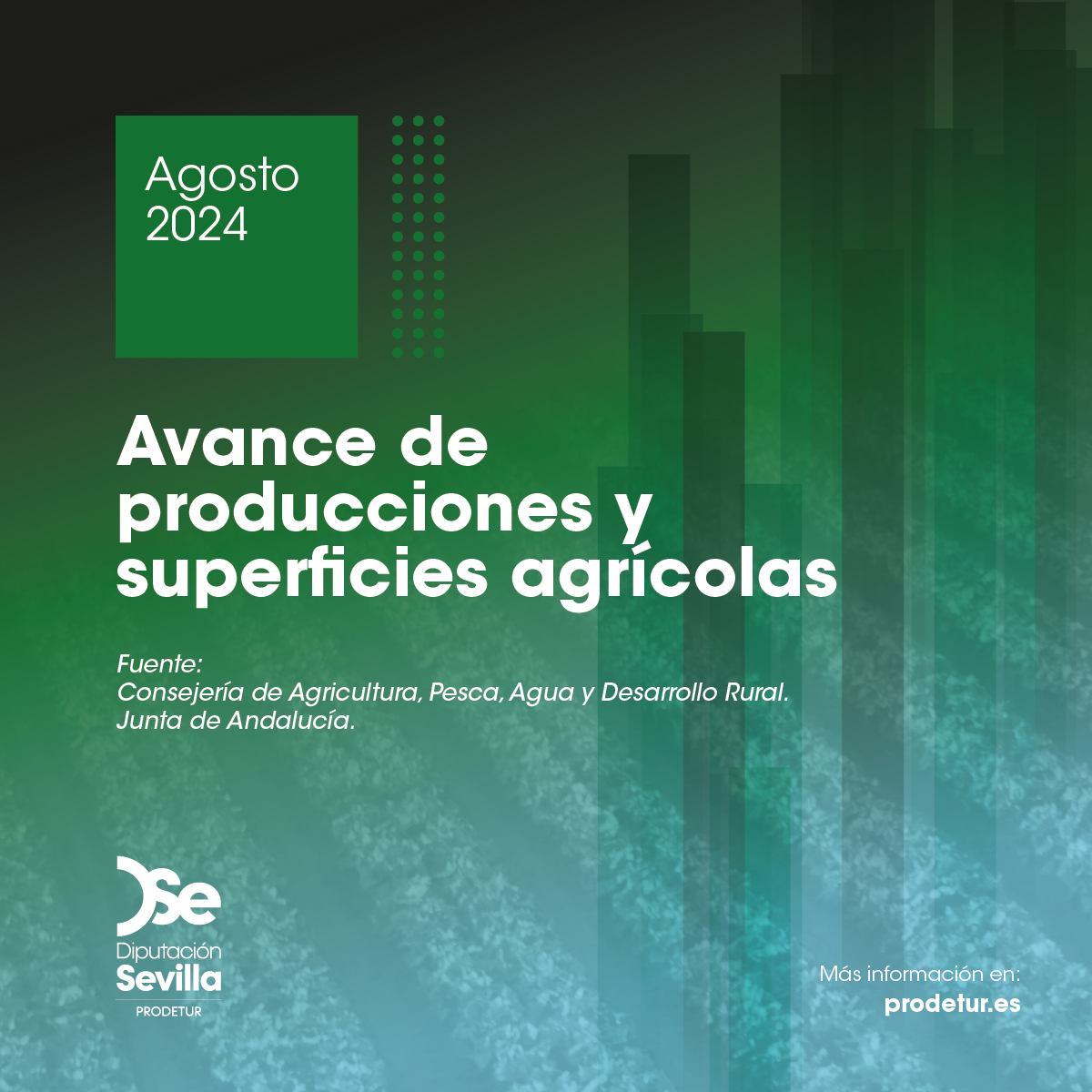 producciones-superficies-agricolas-agosto_2024