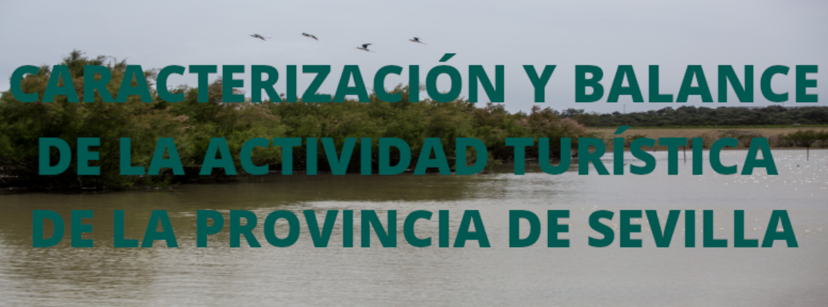 Caracterización y Balance de la Actividad Turística de la Provincia de Sevilla